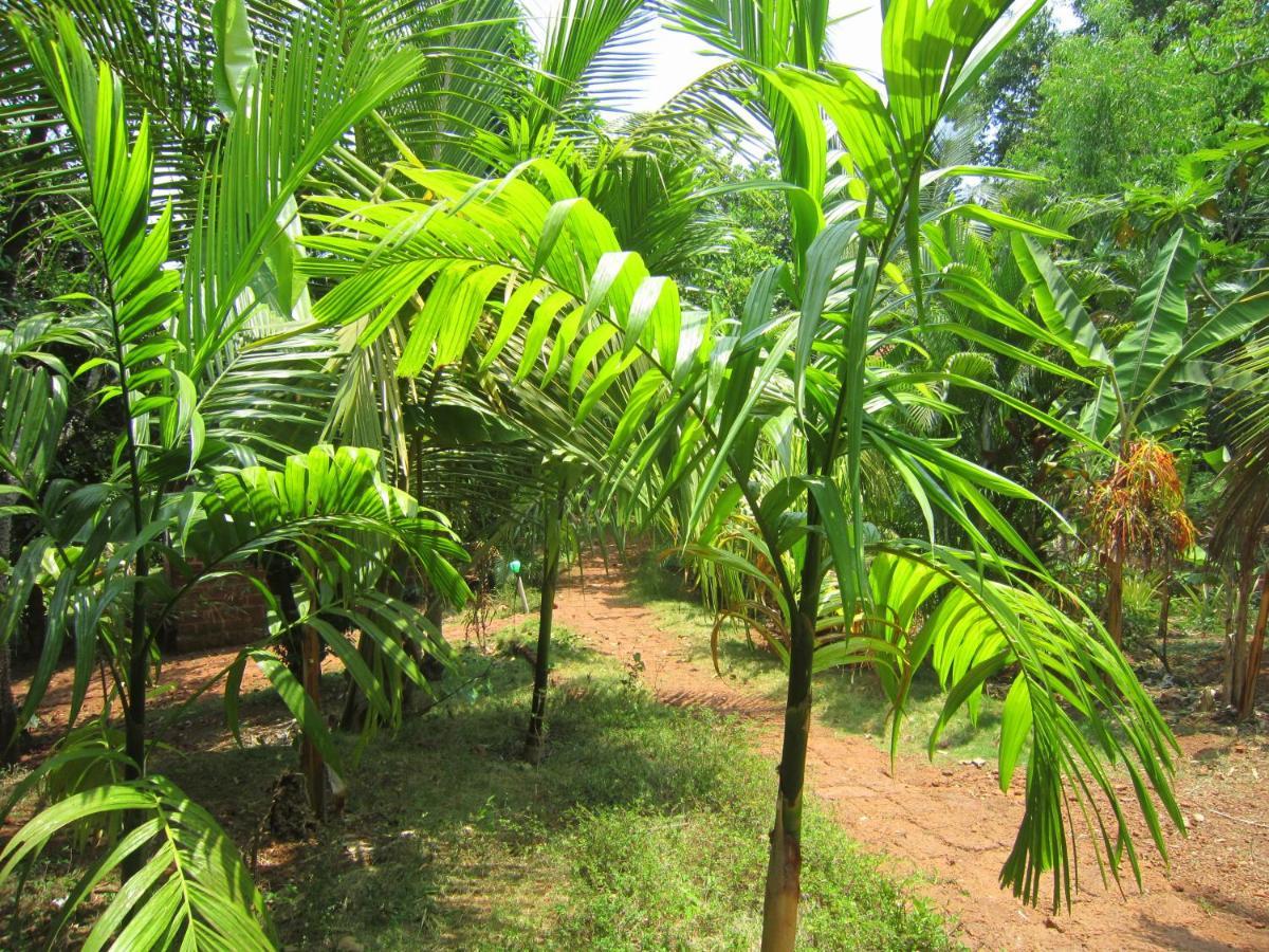 Villa Namaste Yoga Farm Gokarna  Exterior foto