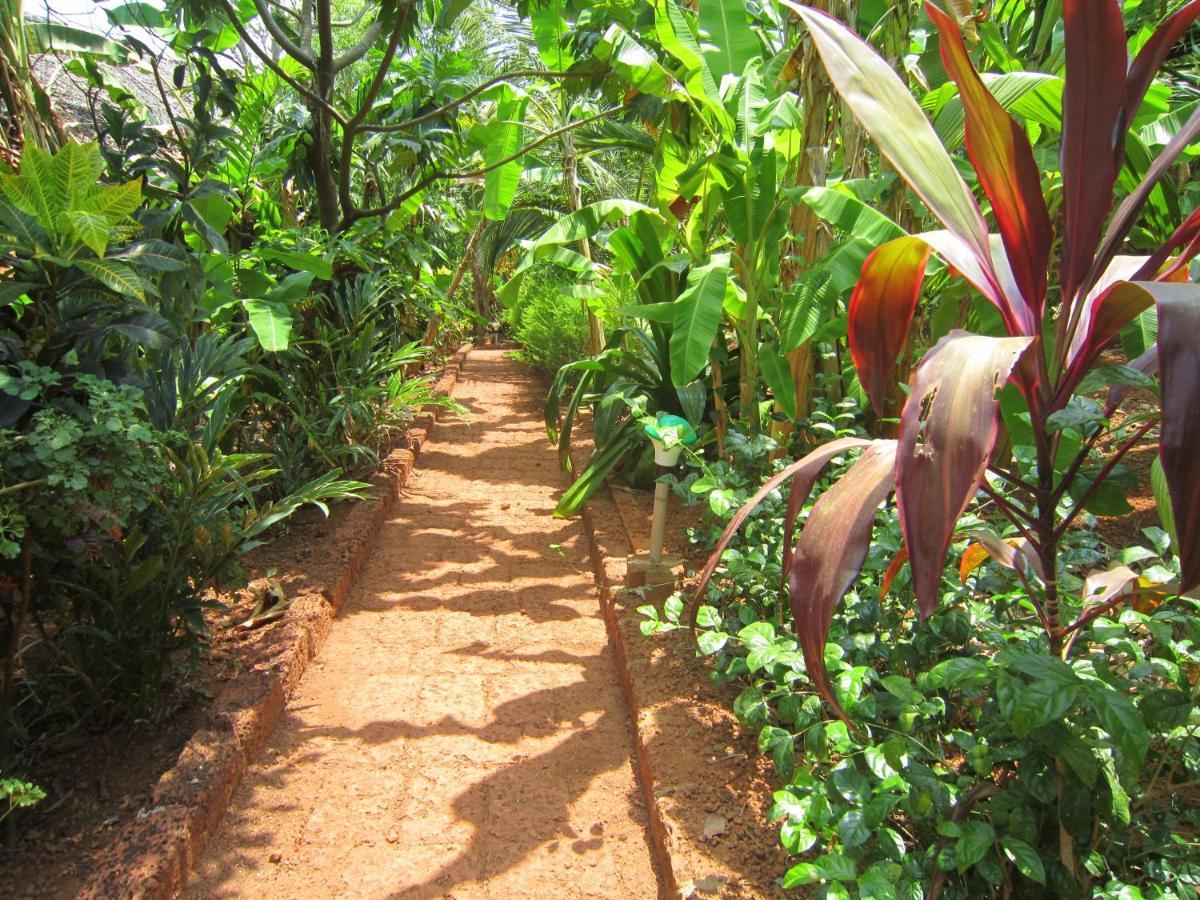 Villa Namaste Yoga Farm Gokarna  Exterior foto